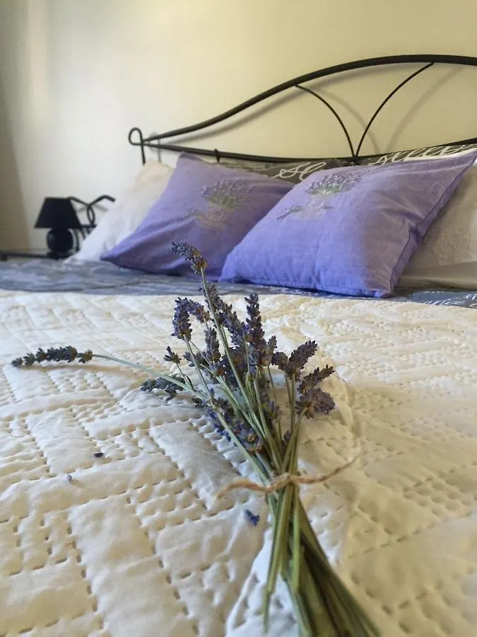 Triumph Apartment Split